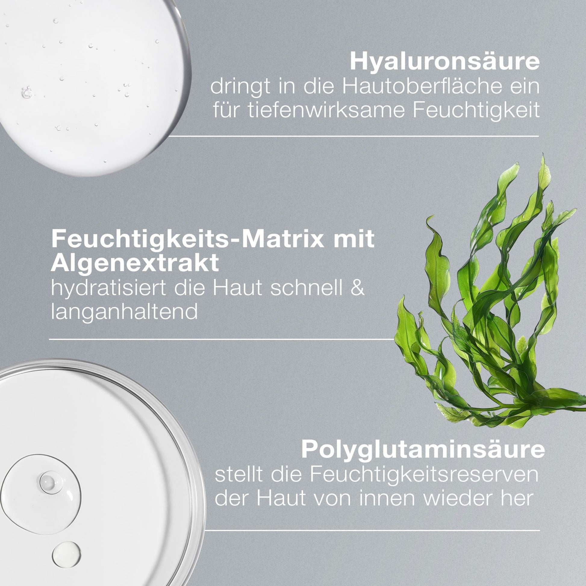 Die Nahaufnahme der klaren Flüssigkeit, der Grünalgen und des deutschen Textes hebt die feuchtigkeitsspendenden Vorteile des Circular Hydration Serum mit Hyaluronsäure, Algenextrakt und Polyglutaminsäure für eine verbesserte Hautfeuchtigkeit hervor.
