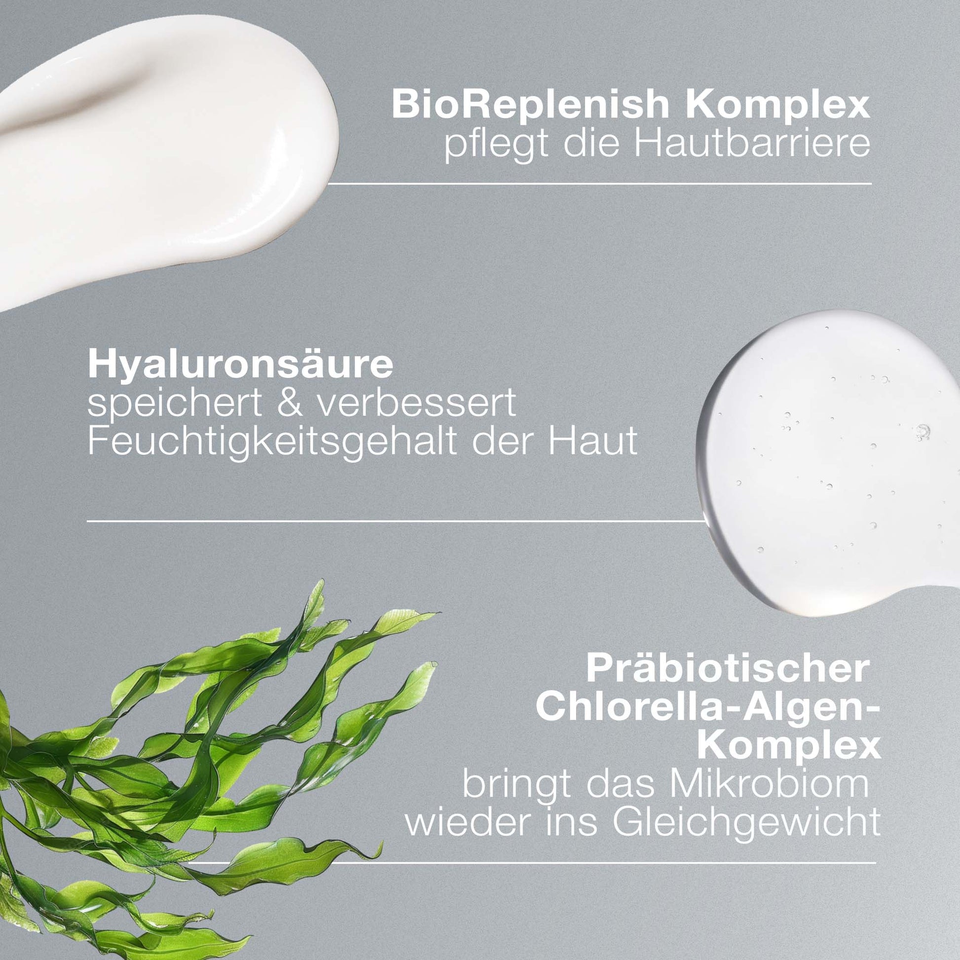 Die mit dem BioReplenish-Komplex angereicherten „Intensive Moisture Balance“-Cremes werden mit ihren Vorteilen für trockene Haut dargestellt; unten links ist ein Grünalgenblatt zu sehen.