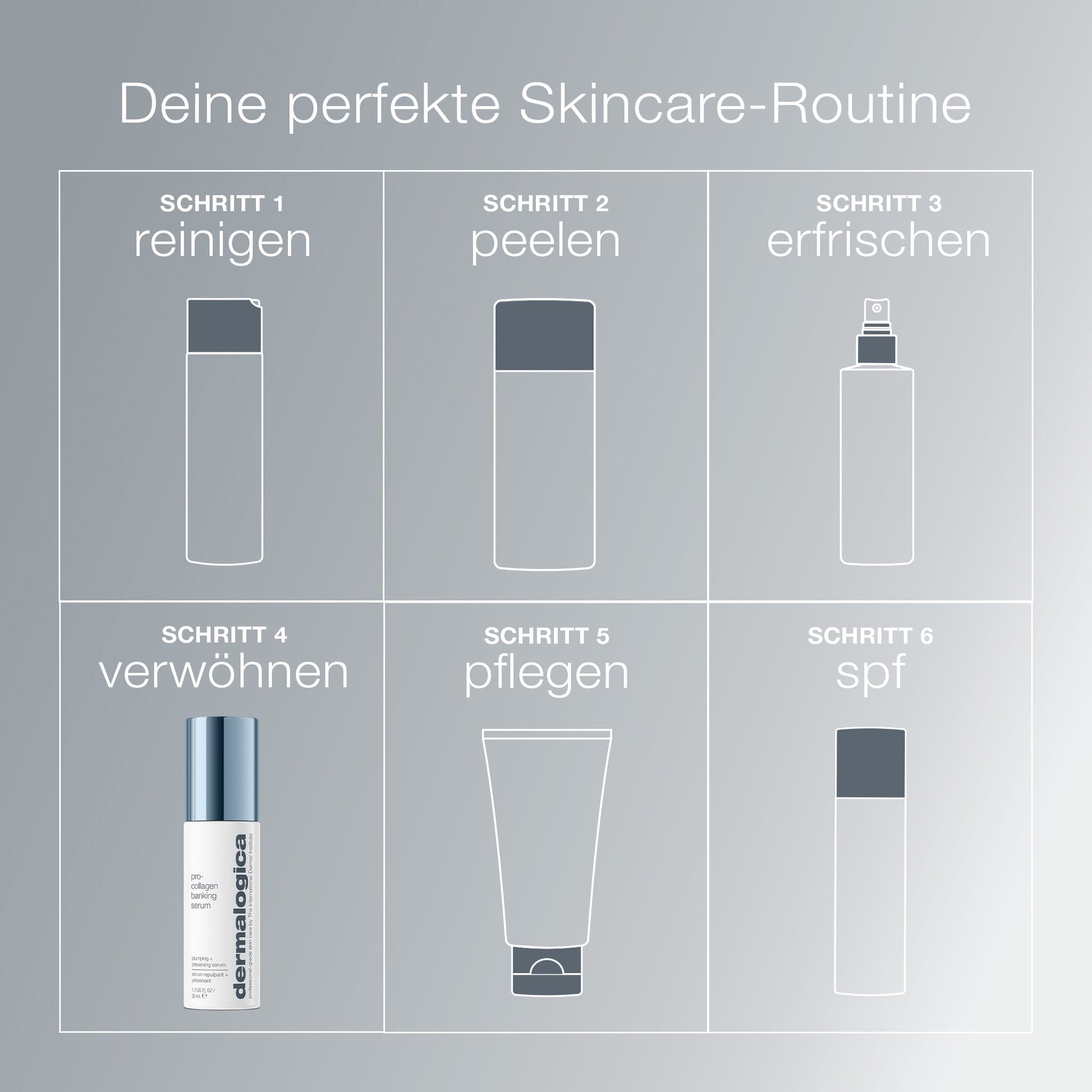Eine sechsstufige Hautpflegetabelle in deutscher Sprache mit Dermalogica-Symbolen für Reinigung, Peeling, Erfrischung, Verwöhnung mit Pro-Collagen Banking Serum, Kollagenpflege und LSF-Schutz.