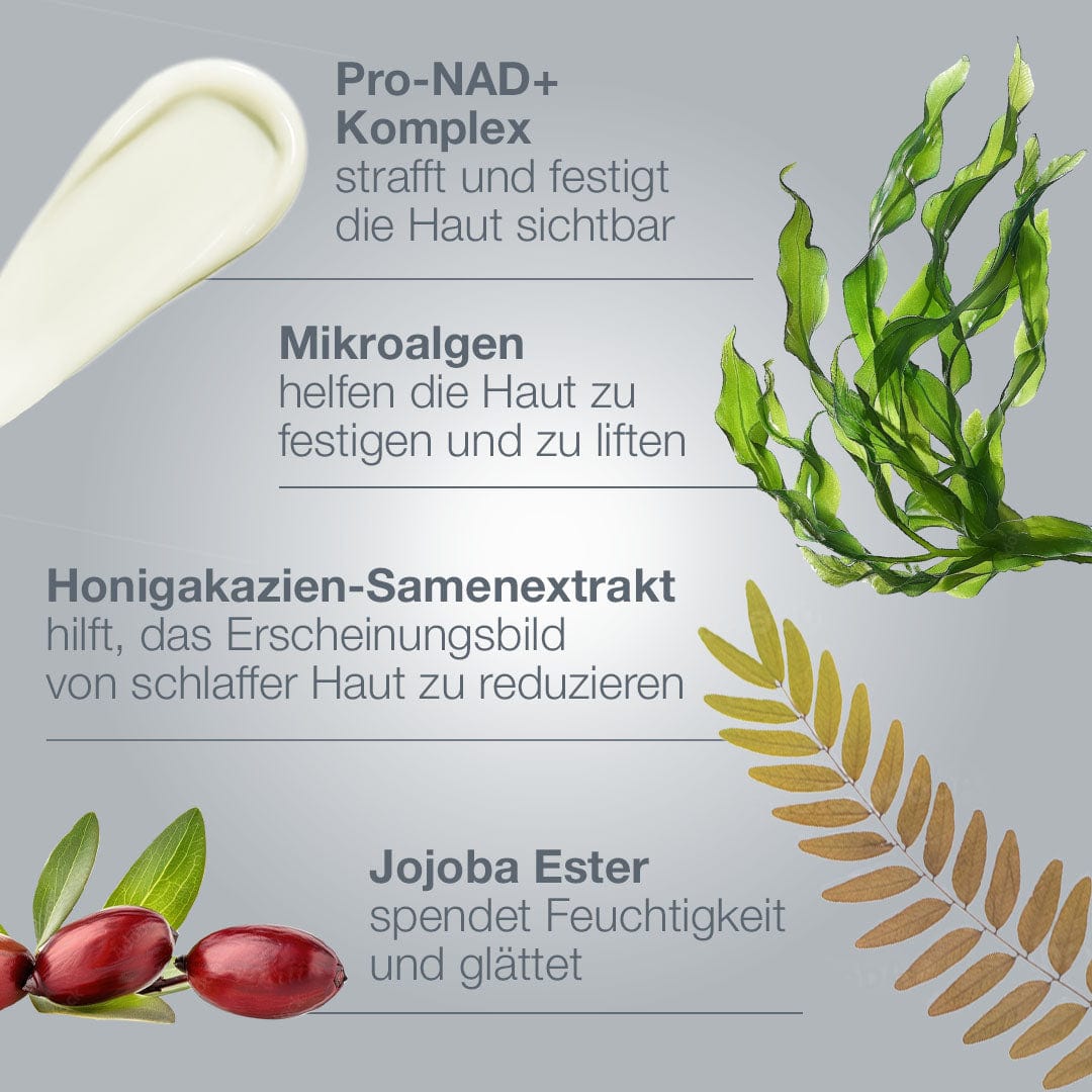 Infografik zu den Inhaltsstoffen von Dynamic Skin Sculptor - Pro-NAD+ Komplex, Mikroalgen, Johannisbrotkern-Extrakt, Jojoba-Ester - mit visuellen Darstellungen und deren hautstraffenden Wirkungen.