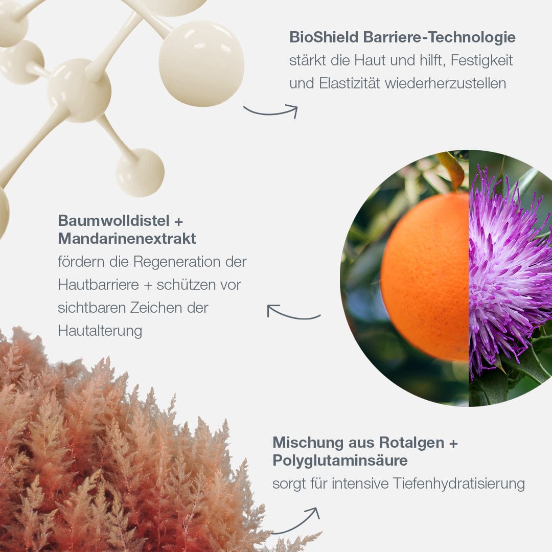Diagramm zur Darstellung des Dynamic Skin Strengthening Serums mit BioShield-Technologie: Moleküle, Baumwoll-Distel, Mandarinen-Extrakt sowie rote Alge und Polyglutaminsäure-Mischung für Hautvorteile. Ideal als Hautserum zur Verbesserung der Elastizität. Text auf Deutsch.